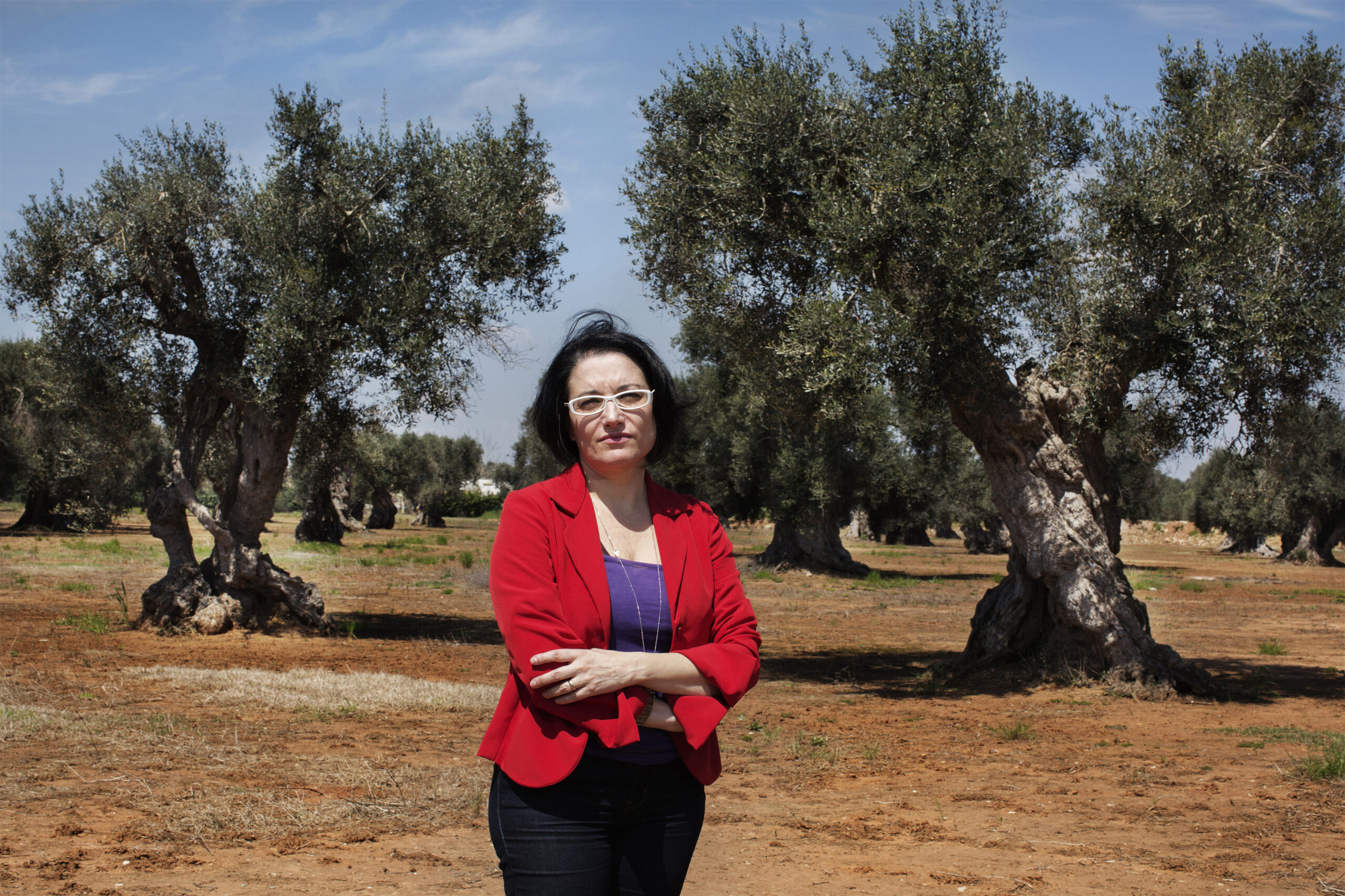 La mafia dei linfonodi, tra grano, loglio e amici degli amici