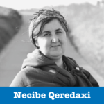 Necibe Qeredaxi