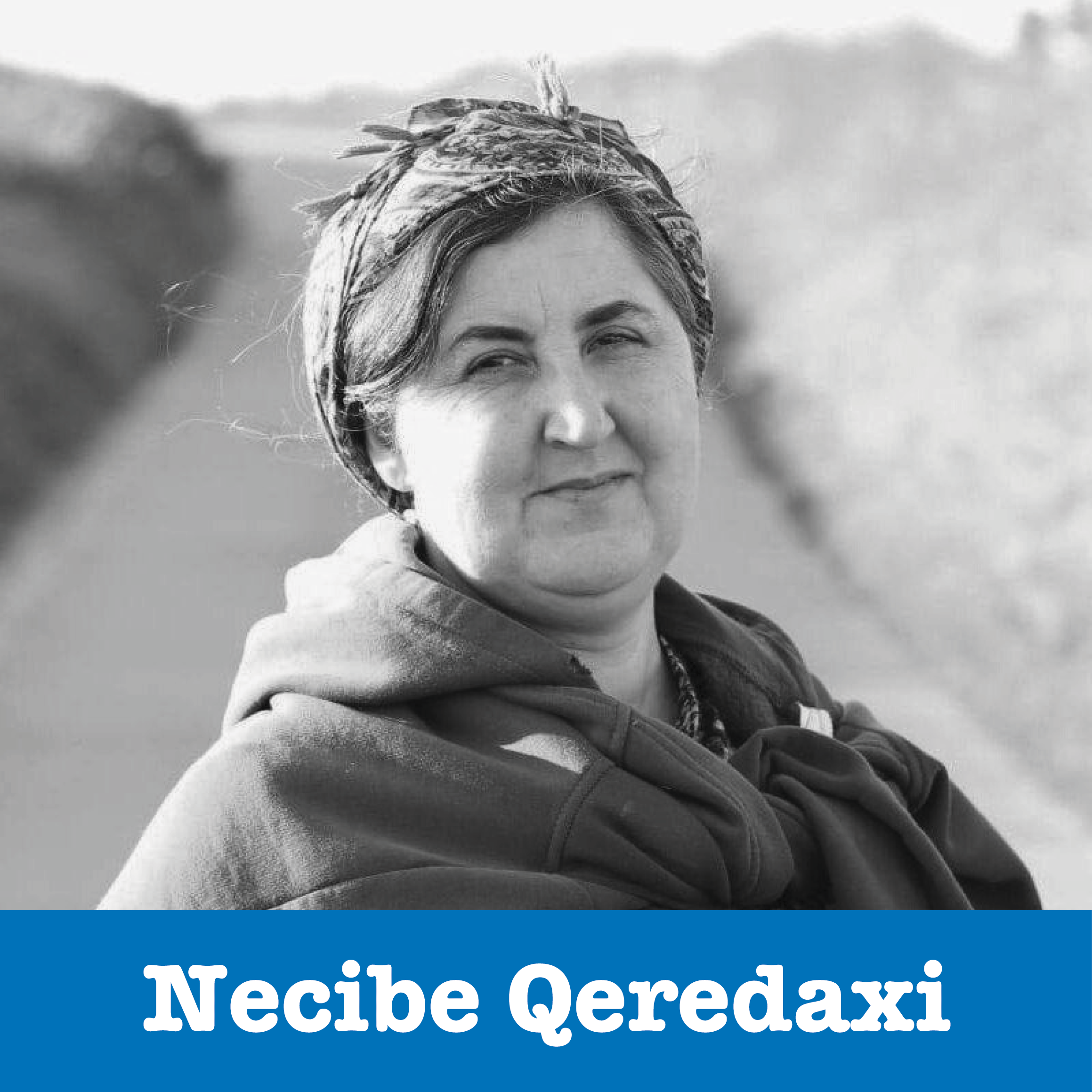 Necibe Qeredaxi